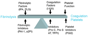 Balance between bleeding, hemostasis, and thrombosis