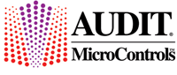 audit