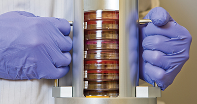 Canister from the unload stacker station of Copan WASPLab with plates that have been designated by digital image review to be removed from the incubator for transfer to a workstation to complete ID and susceptibility testing processing.