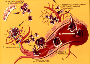 Slides-for-media-presentation-1-REV