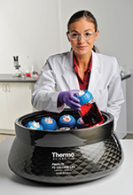 305-ThermoScientific