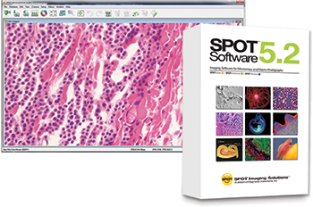 356_Spot_Imaging