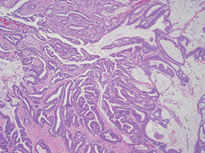 BUSTAMENTE_Fig1_online