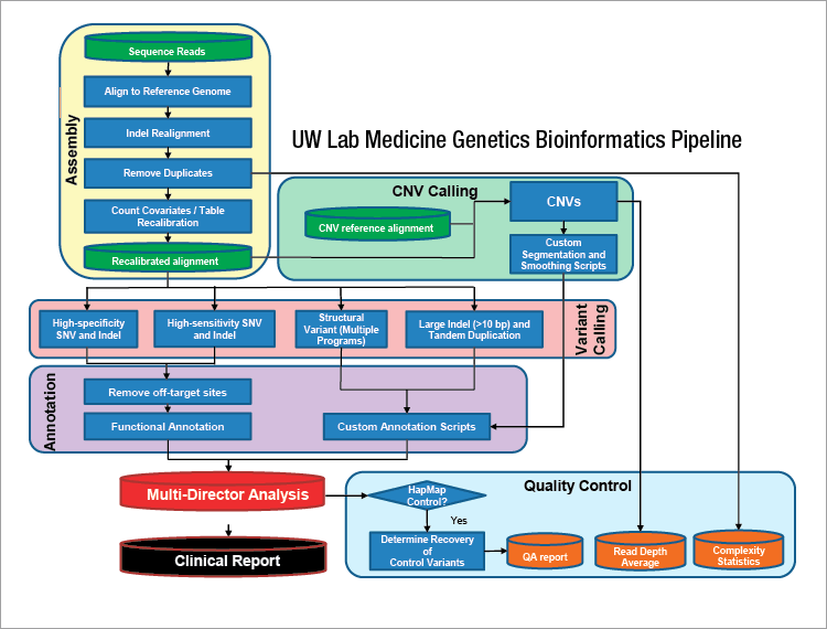 Adapted from J Mol Diagn. Vol.16, Pritchard CC, et al. “Validation and implementation of targeted capture and sequencing for the detection of actionable mutation, copy number variation, and gene rearrangement in clinical cancer specimens,” 56–57. ©Elsevier (2014).