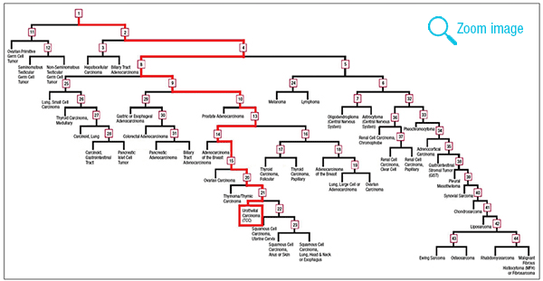 MatastaticFig2_thumb