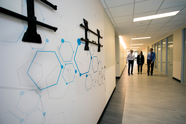 An artistic representation of molecular structures developed by the Department of Pathology to be not only decorative but also a subtle reference to clinical and research science within the department.