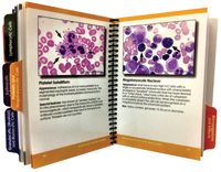 The guide is divided into six sections, with tabs for each. Images have been refereed and reviewed by Surveys participants. To order ($64, code HBRG), call 800-323-4040 or 847-832-7000 option 1.