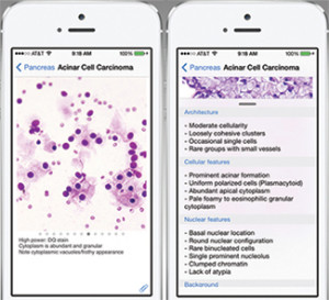 Users can view multiple photographs for each diagnosis and detailed descriptions of each image.