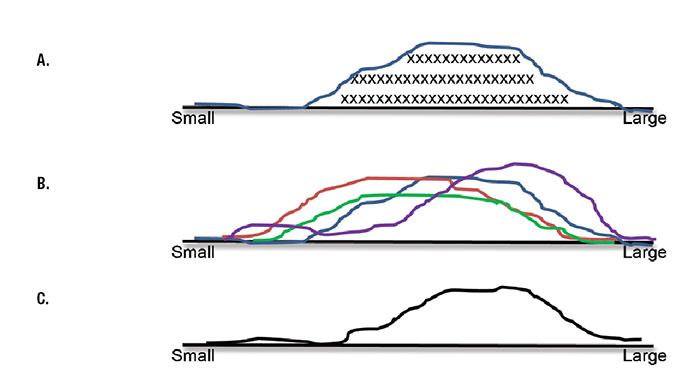 Fig. 1. A. Qualitative representation of nuclear size in the cells of a cervical intraepithelial neoplasia 1 (CIN I). Each X represents the size of one cell nucleus. The curve represents the frequency distribution of nuclear size in all the cells in the specimen. B. Frequency distribution of nuclear size in four specimens of CIN I. C. Normalized frequency distribution of nuclear size in four specimens of CIN I.