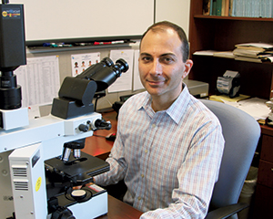 Those who question a conservative approach are making the assumption that a positive margin leaves tumor behind and increases risk of recurrence. Data from the study published in Archives suggest otherwise. Says Dr. Misdraji, above: “Even if you think that’s a shocking approach [to be conservative], that’s what the majority treatment approach is already.”