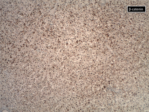 Courtesy of Kisha Mitchell Richards, MBBS