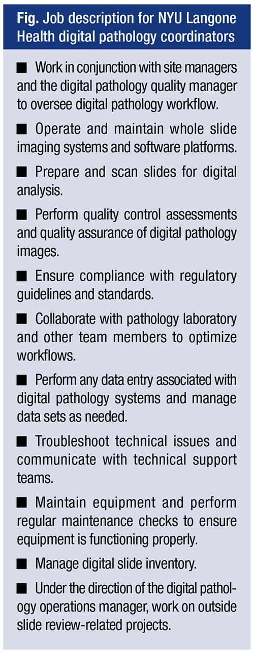 Job description for NYU Langone Health digital pathology coordinators