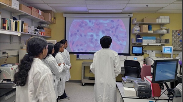 Students examining the structure of tissue under a microscope.