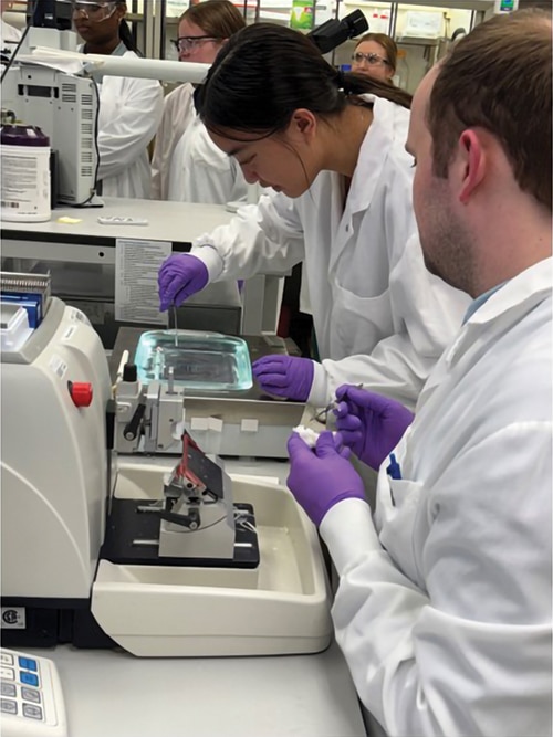 Students practice microtomy