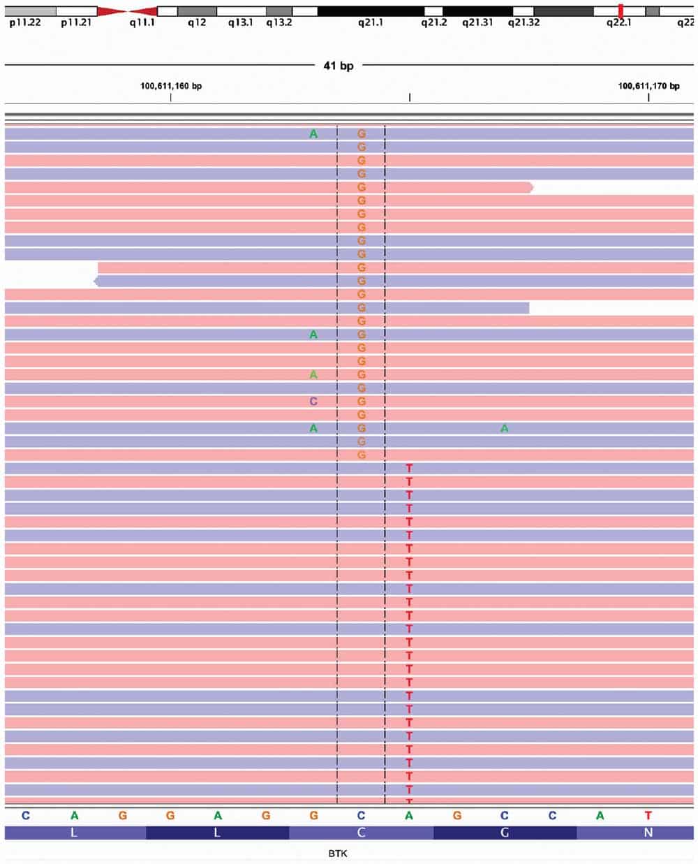 Sequencing visualization using Integrative Genomics Viewer 