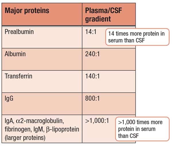Fig. 1. CSF major proteins and plasma/CSF gradient