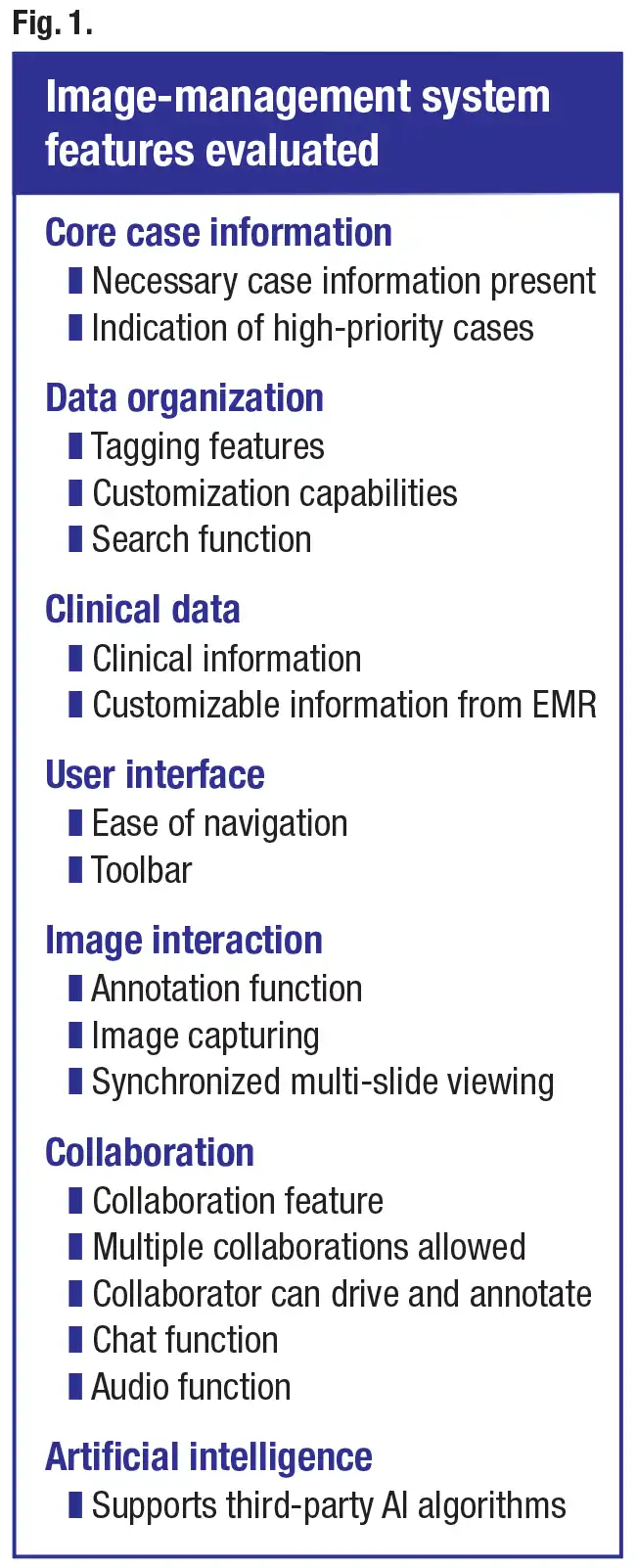 Table: image management system features evaluated
