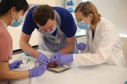 Student-led workshops introduce pathology to peers