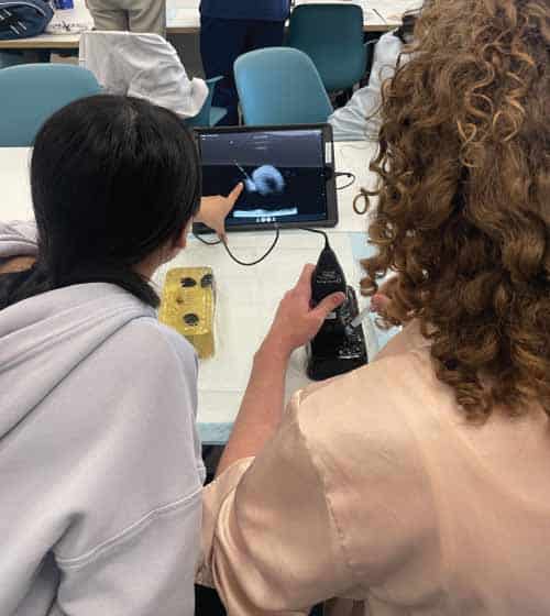 Medical students in the endocrinology workshop