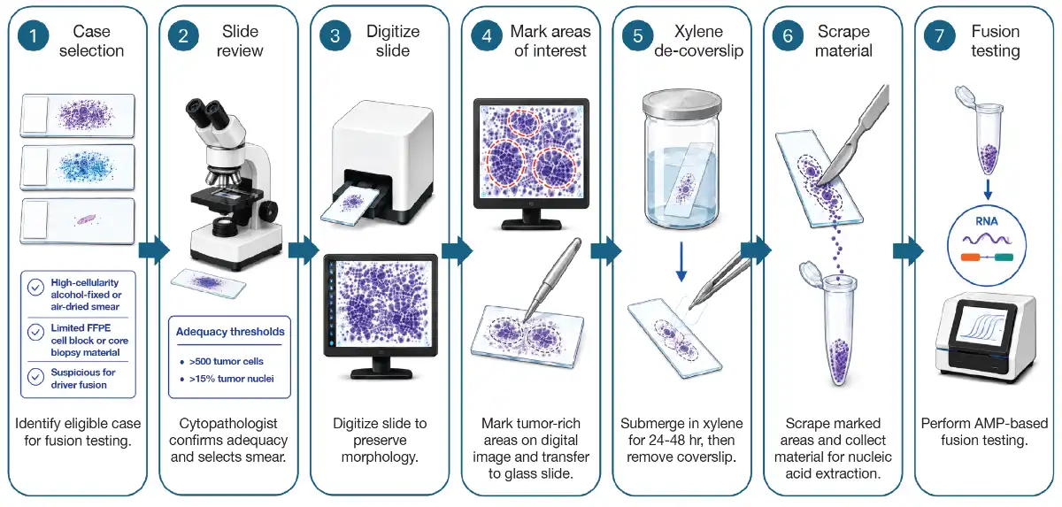Workflow for fusion testing from scraped cytology smears